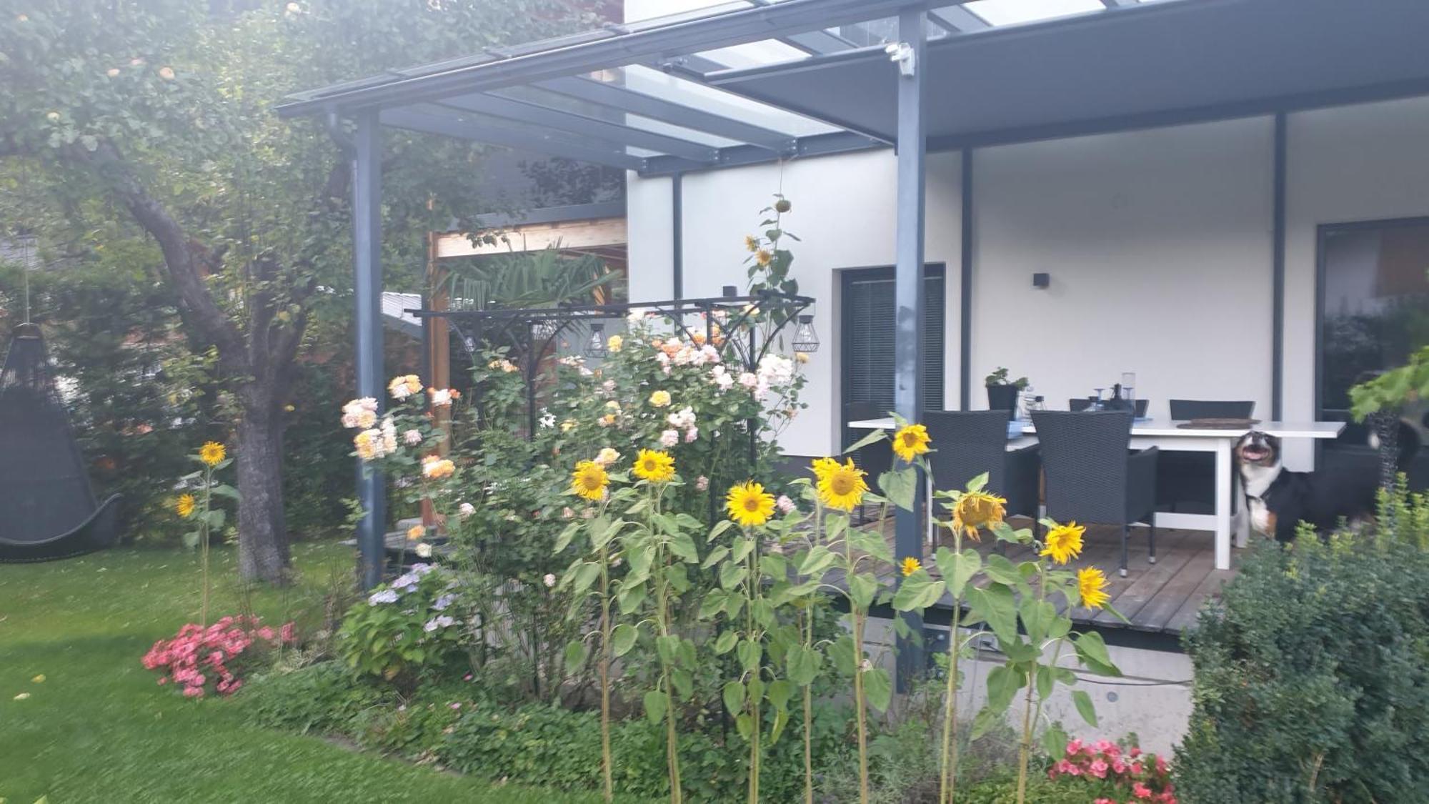 Jagd Trifft Moderne & Boutique Jardin Ferienhaus Annaberg im Lammertal Dış mekan fotoğraf